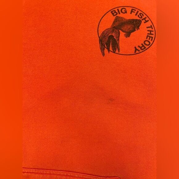 Vince Staples Big Fish Theory Graphic Pullover Hoodie 2018 Tour Men Small Music - Picture 3 of 8